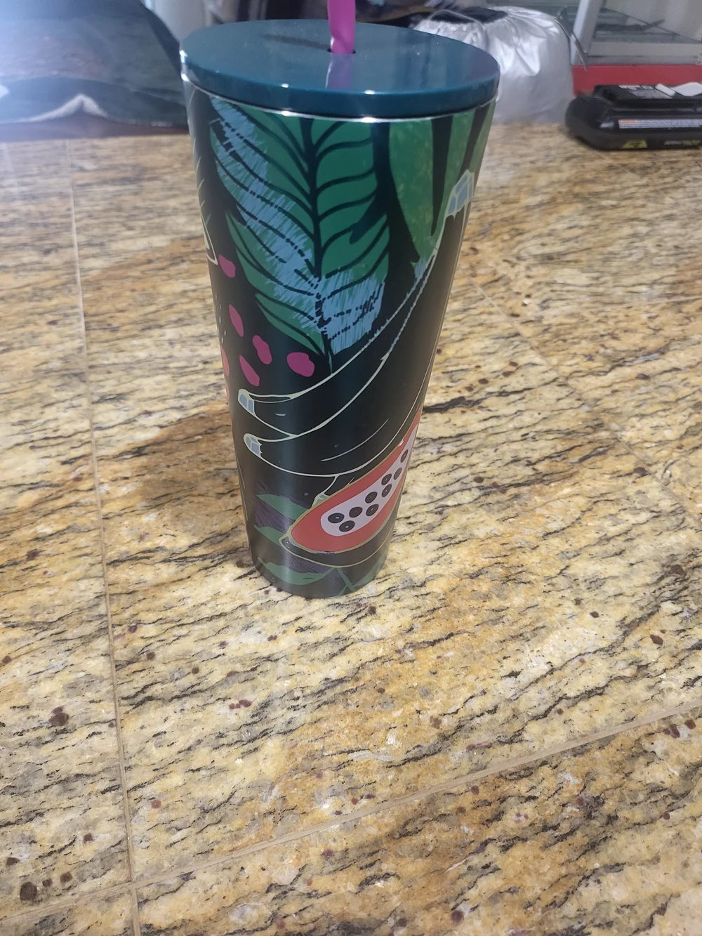 Starbucks Tropical 24 oz Stainless Steel Cold Cup Tumbler w/ Lid & Straw
